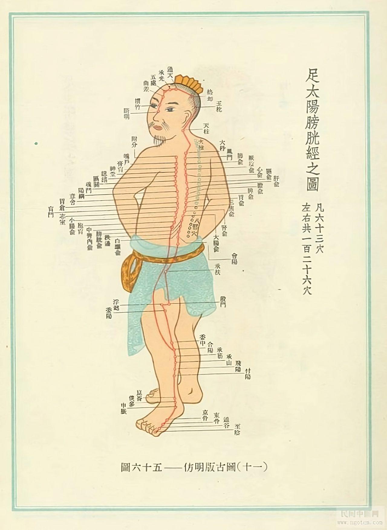 points d'acupuncture